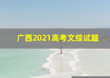 广西2021高考文综试题