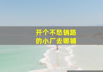 开个不愁销路的小厂去哪铺