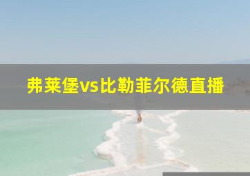 弗莱堡vs比勒菲尔德直播