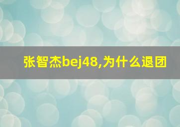 张智杰bej48,为什么退团