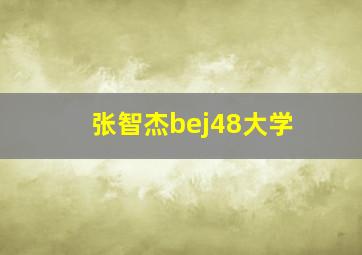 张智杰bej48大学