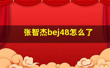 张智杰bej48怎么了