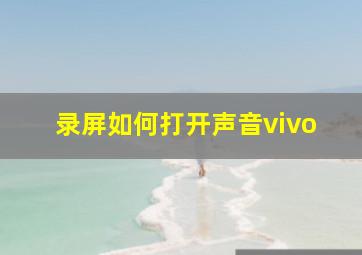 录屏如何打开声音vivo