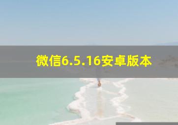 微信6.5.16安卓版本