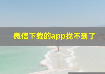 微信下载的app找不到了