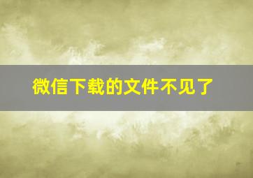 微信下载的文件不见了