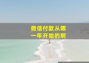 微信付款从哪一年开始的啊