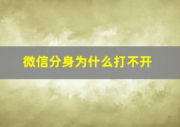 微信分身为什么打不开