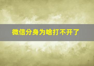 微信分身为啥打不开了