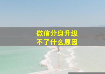 微信分身升级不了什么原因