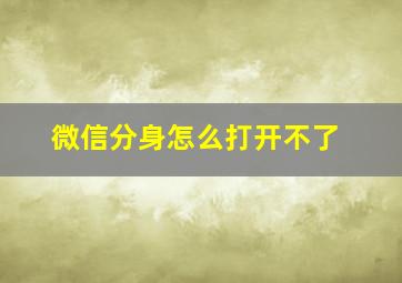 微信分身怎么打开不了