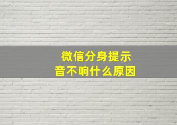 微信分身提示音不响什么原因