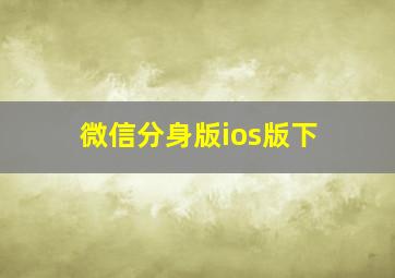 微信分身版ios版下