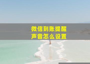 微信到账提醒声音怎么设置