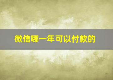 微信哪一年可以付款的