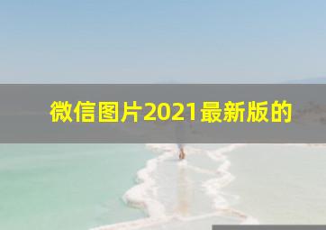 微信图片2021最新版的