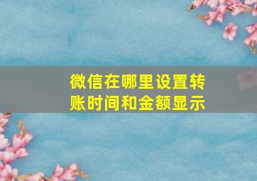 微信在哪里设置转账时间和金额显示