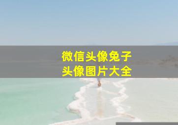 微信头像兔子头像图片大全