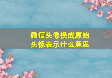 微信头像换成原始头像表示什么意思