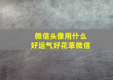 微信头像用什么好运气好花草微信