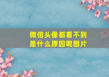 微信头像都看不到是什么原因呢图片