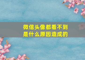 微信头像都看不到是什么原因造成的