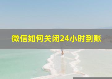 微信如何关闭24小时到账