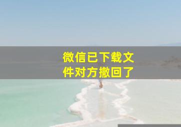 微信已下载文件对方撤回了