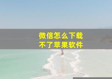 微信怎么下载不了苹果软件