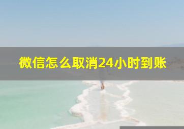 微信怎么取消24小时到账