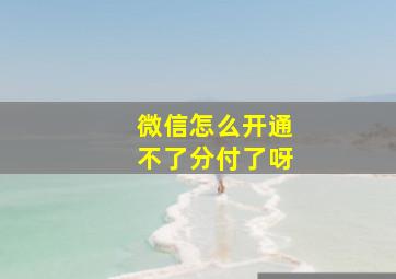 微信怎么开通不了分付了呀