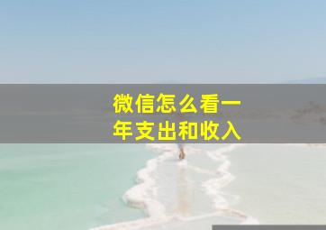 微信怎么看一年支出和收入