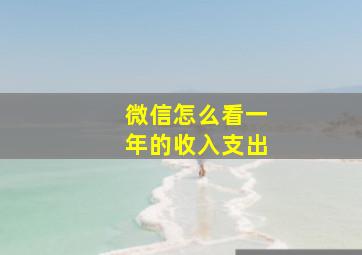 微信怎么看一年的收入支出