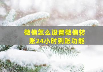 微信怎么设置微信转账24小时到账功能