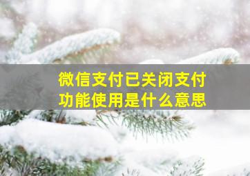 微信支付已关闭支付功能使用是什么意思