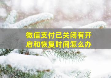 微信支付已关闭有开启和恢复时间怎么办