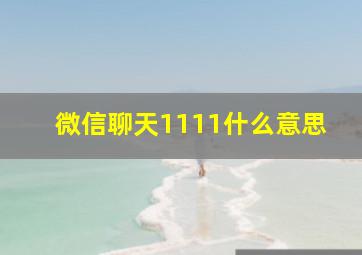 微信聊天1111什么意思