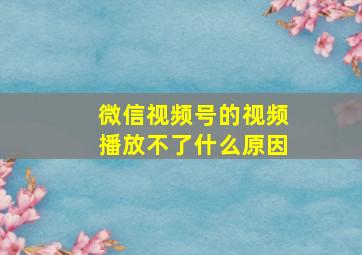 微信视频号的视频播放不了什么原因