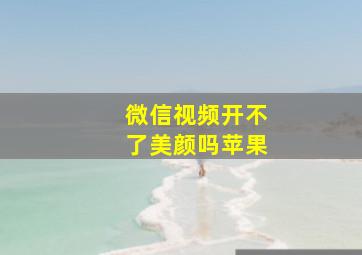 微信视频开不了美颜吗苹果