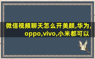 微信视频聊天怎么开美颜,华为,oppo,vivo,小米都可以