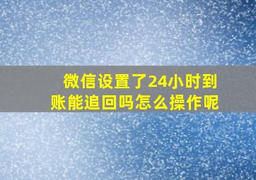 微信设置了24小时到账能追回吗怎么操作呢