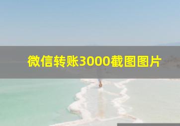 微信转账3000截图图片