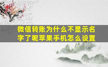 微信转账为什么不显示名字了呢苹果手机怎么设置