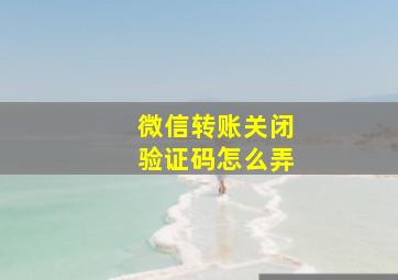 微信转账关闭验证码怎么弄