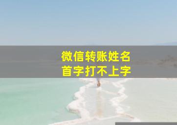 微信转账姓名首字打不上字