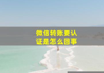 微信转账要认证是怎么回事