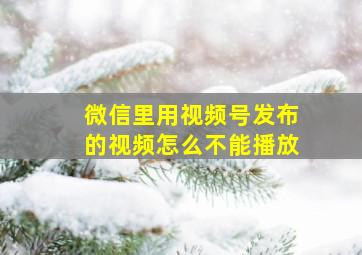 微信里用视频号发布的视频怎么不能播放