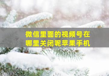 微信里面的视频号在哪里关闭呢苹果手机