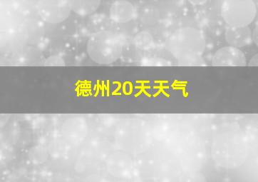 德州20天天气