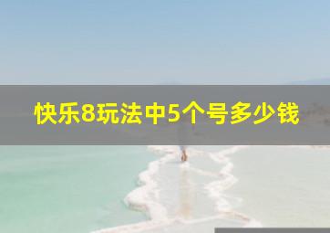 快乐8玩法中5个号多少钱